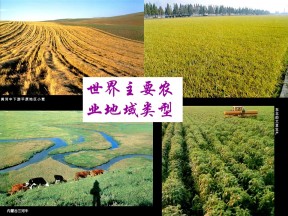 2018-2019学年中图版必修二 3.1农业地域类型 课件(共29张PPT)