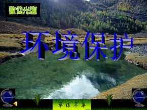 2019-2020学年人教版高中地理选修6课件：5.3公众参与教学课件 (共66张PPT)
