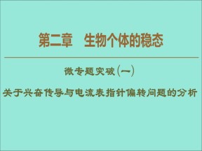 2019-2020学年  苏教版  必修3 关于兴奋传导与电流表指针偏转问题的分析  课件 （21张）