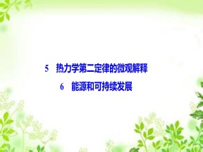 2019-2020学年人教版选修3-3 第十章 5-6　热力学第二定律的微观解释 能源和可持续发展 课件（40张）