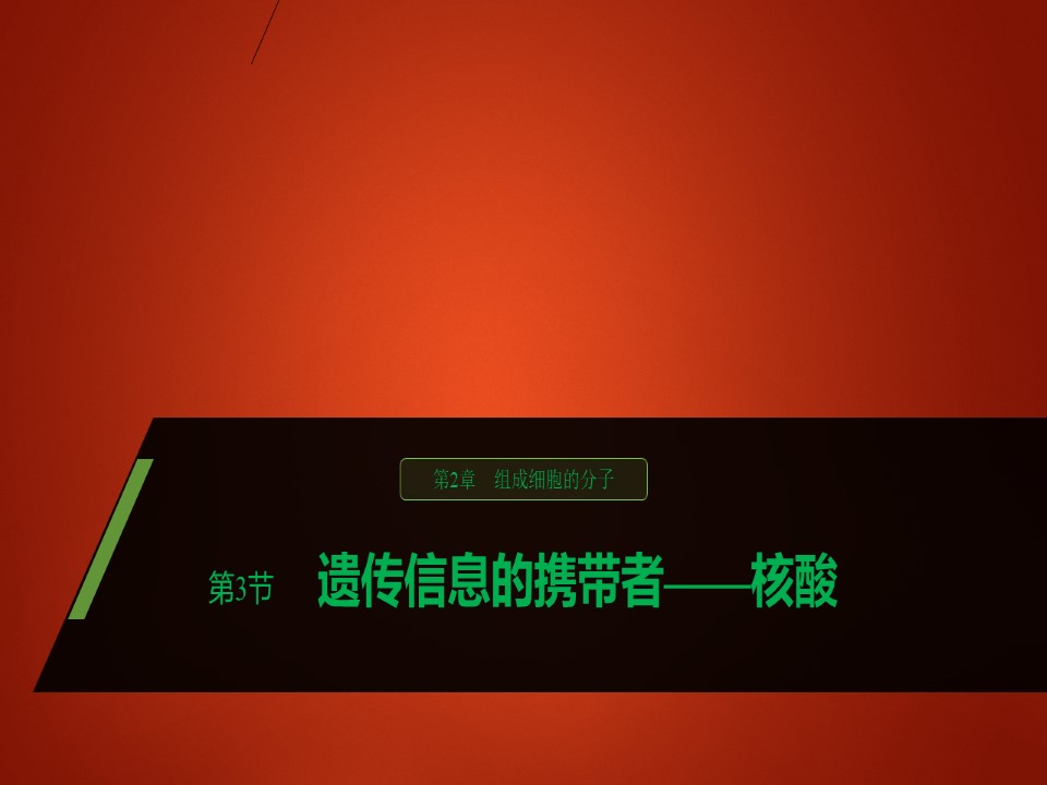 2019-2020学年  人教版  必修1 遗传信息的携带者——核酸  课件 （27张）第1页