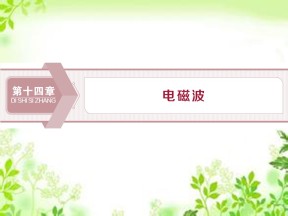 2019-2020学年人教版选修3-4 第十四章 第1节　电磁波的发现 第2节　电磁振荡 课件（30张）