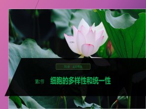 2019-2020学年  人教版  必修1 细胞的多样性和统一性  课件 （28张）