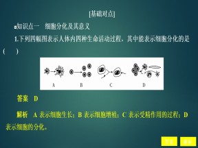 2019-2020学年  人教版  必修1 细胞分化习题 课件 （30张）