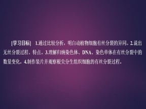 2019-2020学年  人教版  必修1 细胞的增殖 2课时   课件 （66张）