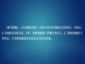 2019-2020学年  人教版  必修1 细胞衰老、凋亡和癌变  课件 （45张）