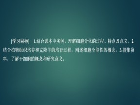 2019-2020学年  人教版  必修1 细胞分化  课件 （36张）