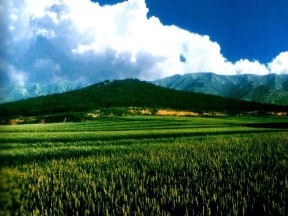 2019—2020学年岳麓版必修一第2课 大一统与秦朝中央集权制度的确立 课件（35张）(1)