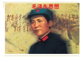 2019—2020学年人教版必修三第17课 毛泽东思想 课件（36张）