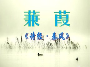 《蒹葭》PPT课件5
