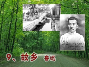 《故乡》PPT课件8