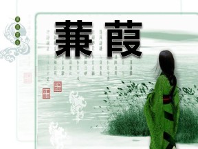 《蒹葭》PPT课件3