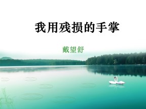 《我用残损的手掌》PPT课件7