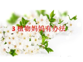 部编版小学语文二年级上册《植物妈妈有办法》课件