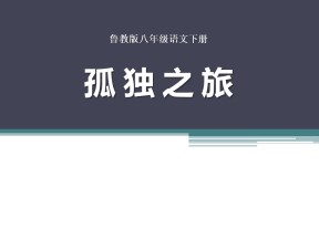 《孤独之旅》PPT课件8