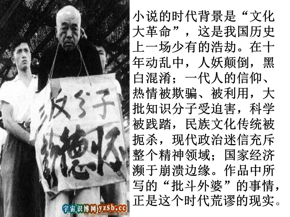 《白色鸟》PPT课件2第3页