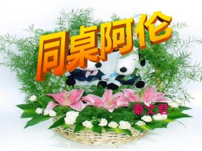 《同桌阿伦》PPT课件