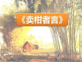《卖柑者言》PPT课件2