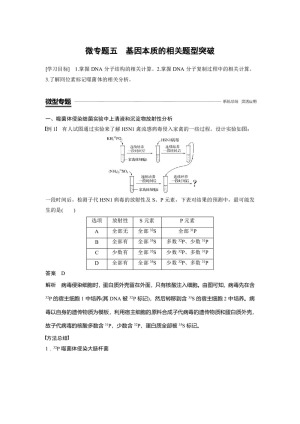 2018-2019学年人教版必修2 第3章 微专题五　基因本质的相关题型突破 学案