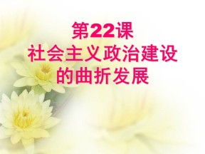 2016-2017学年岳麓版必修一  第22课 社会主义政治建设的曲折发展 课件（43张）