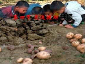 2018-2019学年度粤教版选修3-4 1.6 受迫振动 共振 课件（3）（34张）