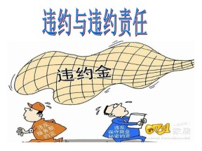 2017-2018学年人教版选修五专题三 3.4违约与违约责任 课件（27张）