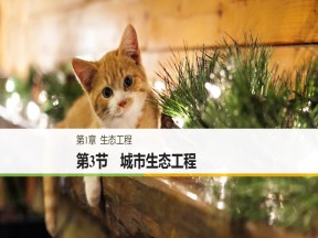 2018-2019学年 北师大版选修3 生态工程第3节城市生态工程 课件