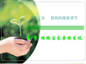 2018-2019学年人教版必修三 植物生长素的发现 课件  (28张)