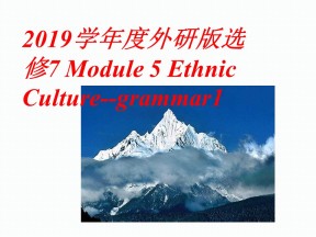 2019学年度外研版选修7 Module 5 Ethnic Culture--grammar1课件（18张)