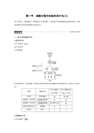 2018-2019学年浙科版必修2 第二章 第一节 减数分裂中的染色体行为(Ⅱ) 学案