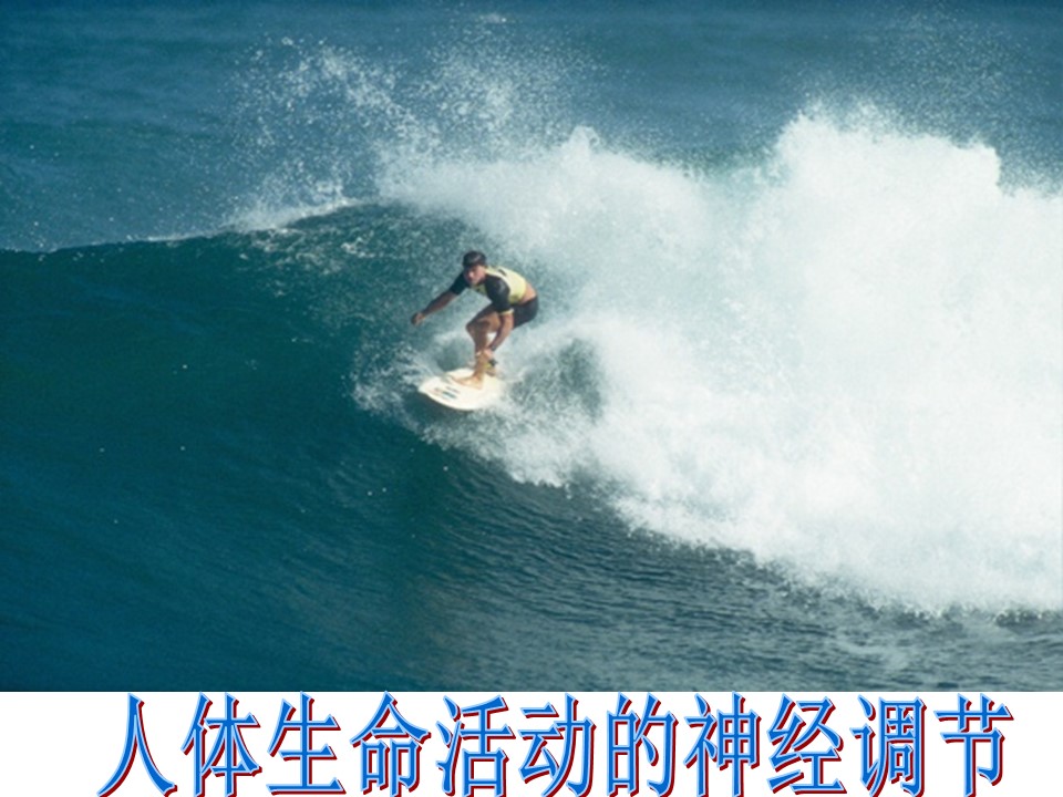 2018-2019学年北师大版必修3 第2章第3节人体生命活动的神经调节 课件(共23张)第1页