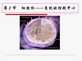 2018-2019学年人教版必修1 细胞核——系统的控制中心 课件 (34张)