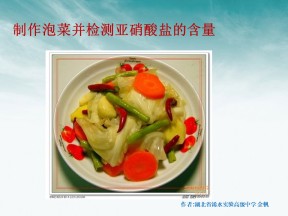 1.3 制作泡菜并检测亚硝酸盐的含量 课件 人教版选修1