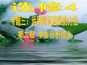 2018—2019学年高一政治人教版  选修4  专题3  2、学会分析综合   课件（24张）