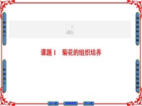 2018-2019学年人教版选修1 专题3 课题1 菊花的组织培养 课件（42张）