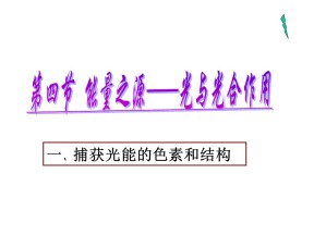 2018-2019学年人教版必修1 捕获光能的色素和结构 课件（35张）
