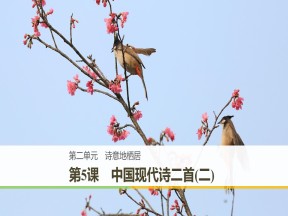 2018-2019学年语文版必修一 中国现代诗二首（二）课件（49张）