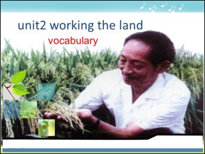 【新思路】2018-2019学年人教版高一英语必修4课件： Unit 2 Period 2  Vocabulary