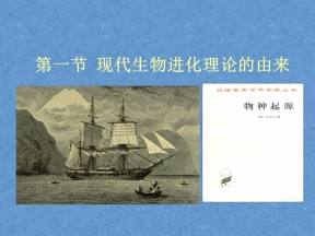 2018-2019学年 人教版 现代生物进化理论的由来 课件（20张）