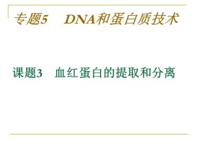 2018-2019学年 人教版选修3 血红蛋白的提取和分离 课件(55张)