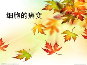 2018-2019学年人教版必修1 细胞的癌变 课件(32张)