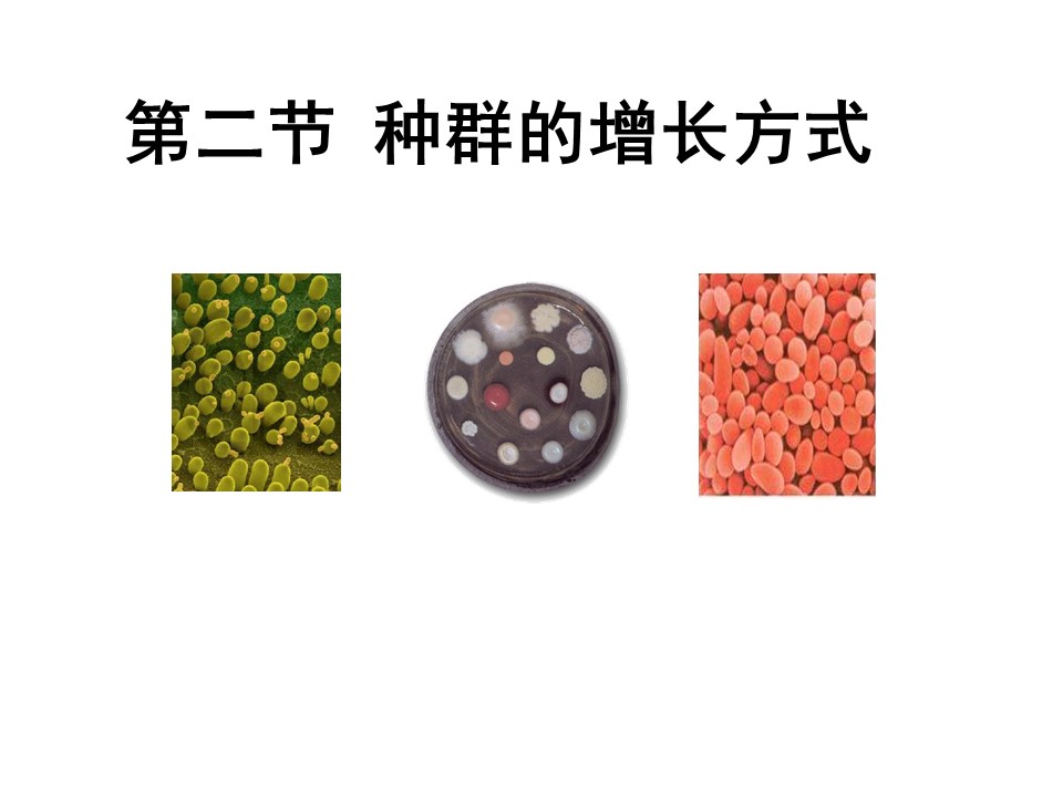 2015-2016学年 浙科版必修三 种群的增长方式（全课时） 课件 (15张)第1页