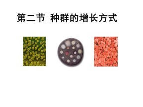 2015-2016学年 浙科版必修三 种群的增长方式（全课时） 课件 (15张)