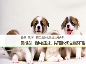 2018-2019学年人教版必修2 第7章 第2节 种群基因频率的改变与生物进化第2课时 课件（26张）