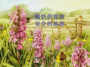 2019年高中地理鲁教版选修3课件： 2.4《旅游安全防范》课件(共22张PPT)