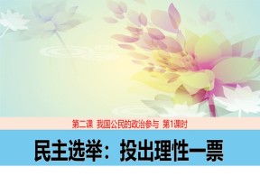 2018——2019学年高一政治人教版必修二2.1民主选举：投出理性一票课件（27张）