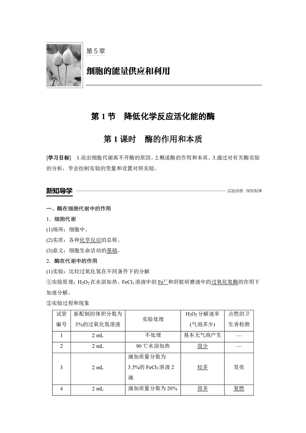 2018-2019年人教版必修1  第5章 第1节 第1课时 酶的作用和本质 学案第1页