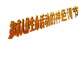 2018-2019学年北师大版必修3 第2章第3节人体生命活动的神经调节 课件(共29张)