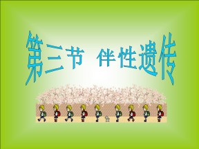 2018-2019学年人教版必修二 2.3 伴性遗传 课件（43张）
