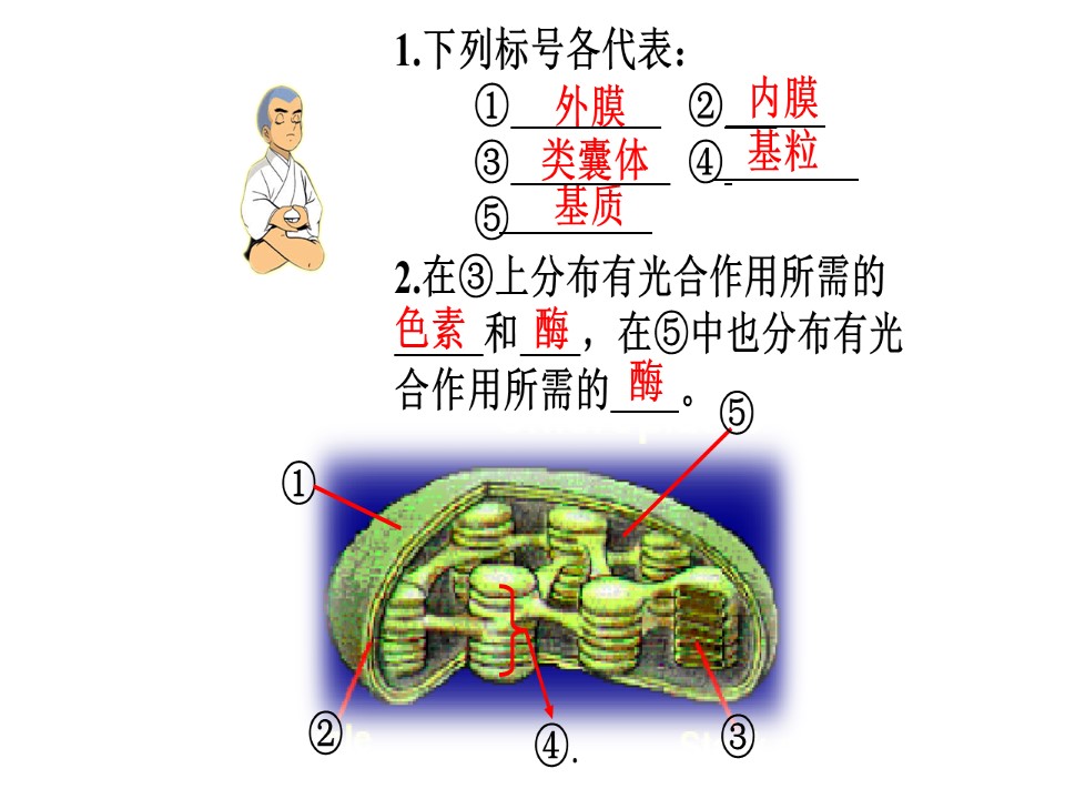2018-2019学年苏教版必修1  第2节光合作用 课件(18张)第3页